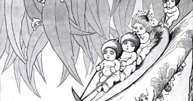 オーストラリアで100年以上愛されるガムナッツベイビーズ キャノン美佳 Note