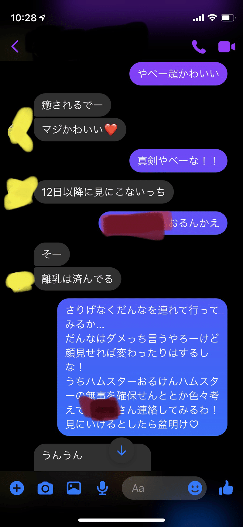 猫を２匹飼っていると毎日たのしい かめポン あのね文書室 Note