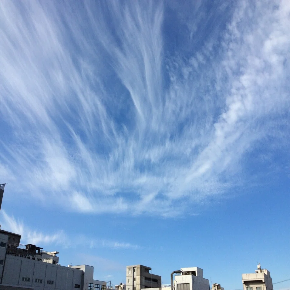 龍雲９ ゆき Note