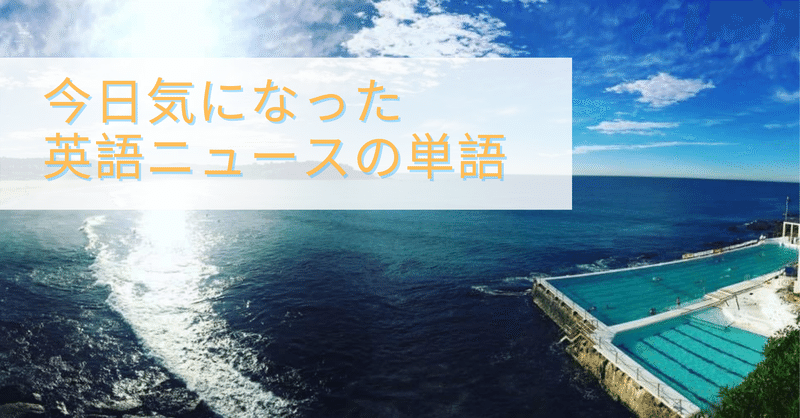 西川まゆ Mayu Nishikawa Note
