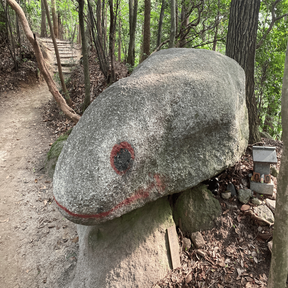 猿投山｜mountain go