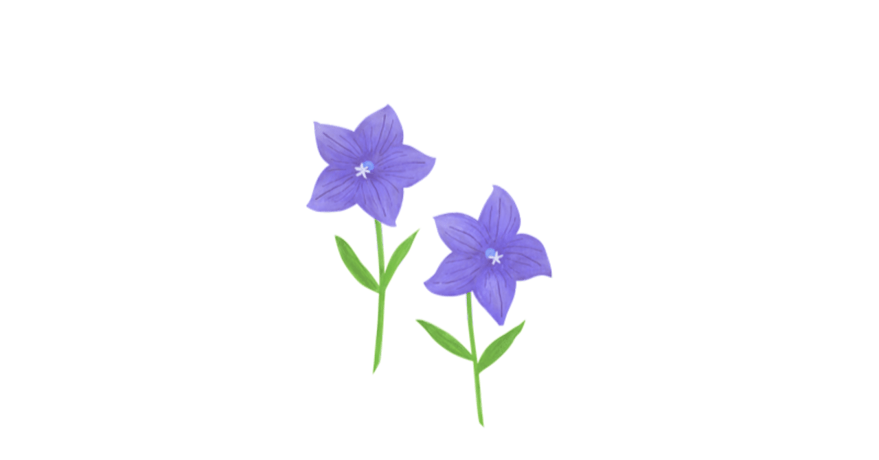 桔梗の花 マルコ Note