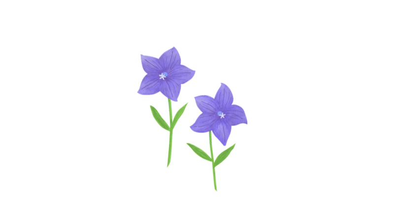 桔梗の花 マルコ Note