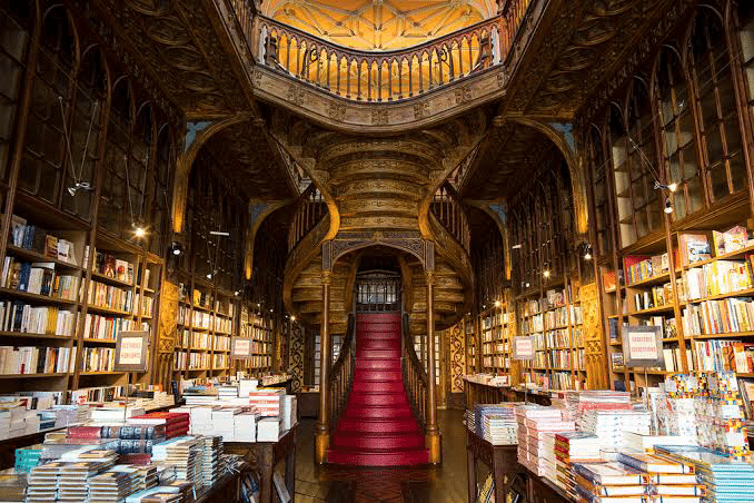 1コマ海外旅行】#18 世界一美しい本屋さんのリアル in