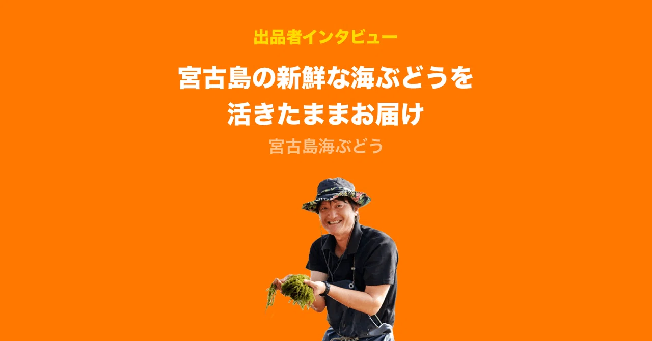 宮古島の新鮮な海ぶどうを活きたままお届け｜Let(レット)【公式】