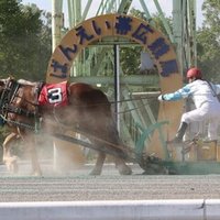 年10月3日 土 帯広ばんえい 全11r予想 110 1r 4r無料公開予想 10月一発目 ばんマスの厳選ばん馬5頭絞り 参考買い目あります ばんマス会長の帯広ばんえい予想 Note 年10月3日 土 帯広ばんえい 全11r予想 110 1r 4r無料公開予想 10月一発目 ばんマスの厳選ばん馬5頭絞り 参考買い目あります ばんマス会長の帯広ばんえい予想 Note