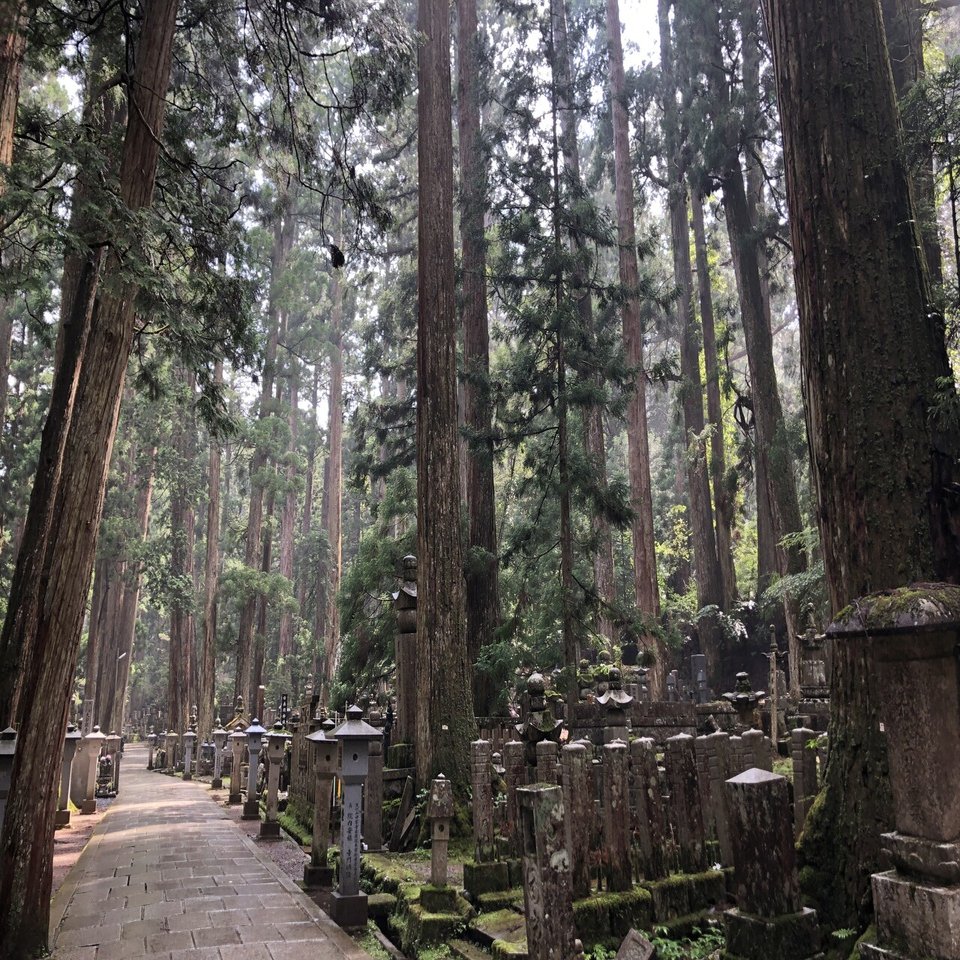 奥の院へ箱書きに｜高野山法徳堂/空海と高野山の魅力を独自の視点で