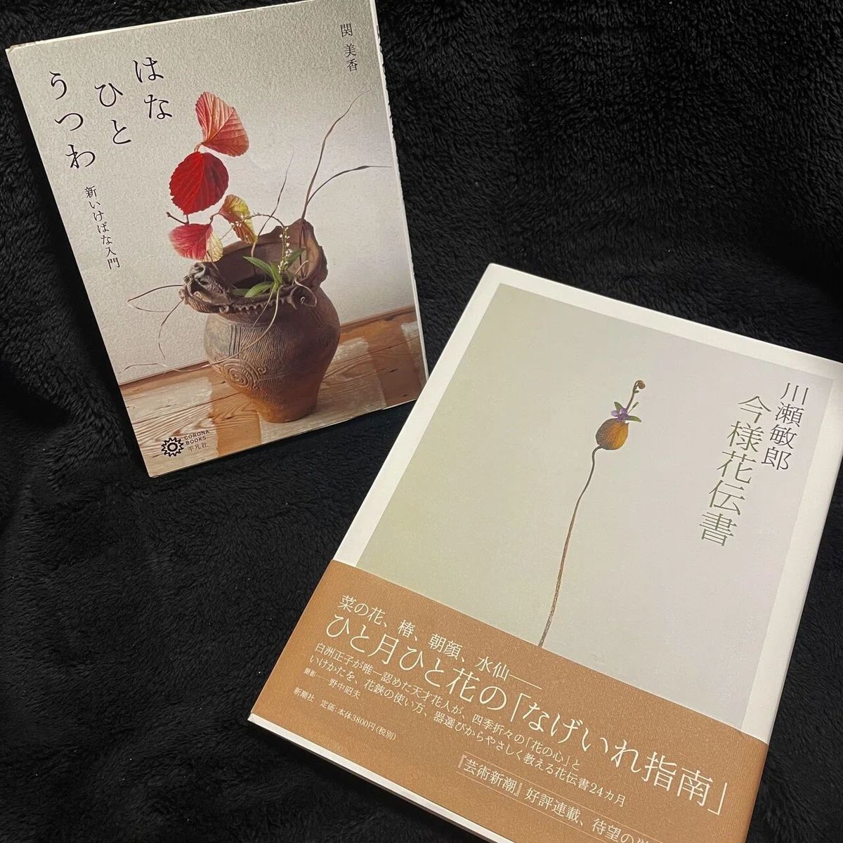 画像8