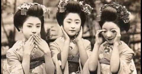 文学・歴史】日本に実在した色町「吉原遊郭」【花魁】｜bitotabi