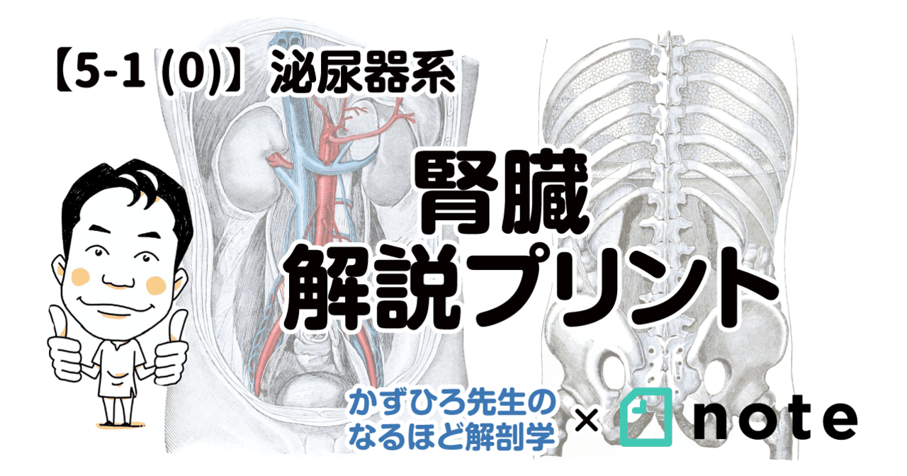 医師国試問題解説アプローチ 2010 3 |本 | 通販 | Amazon