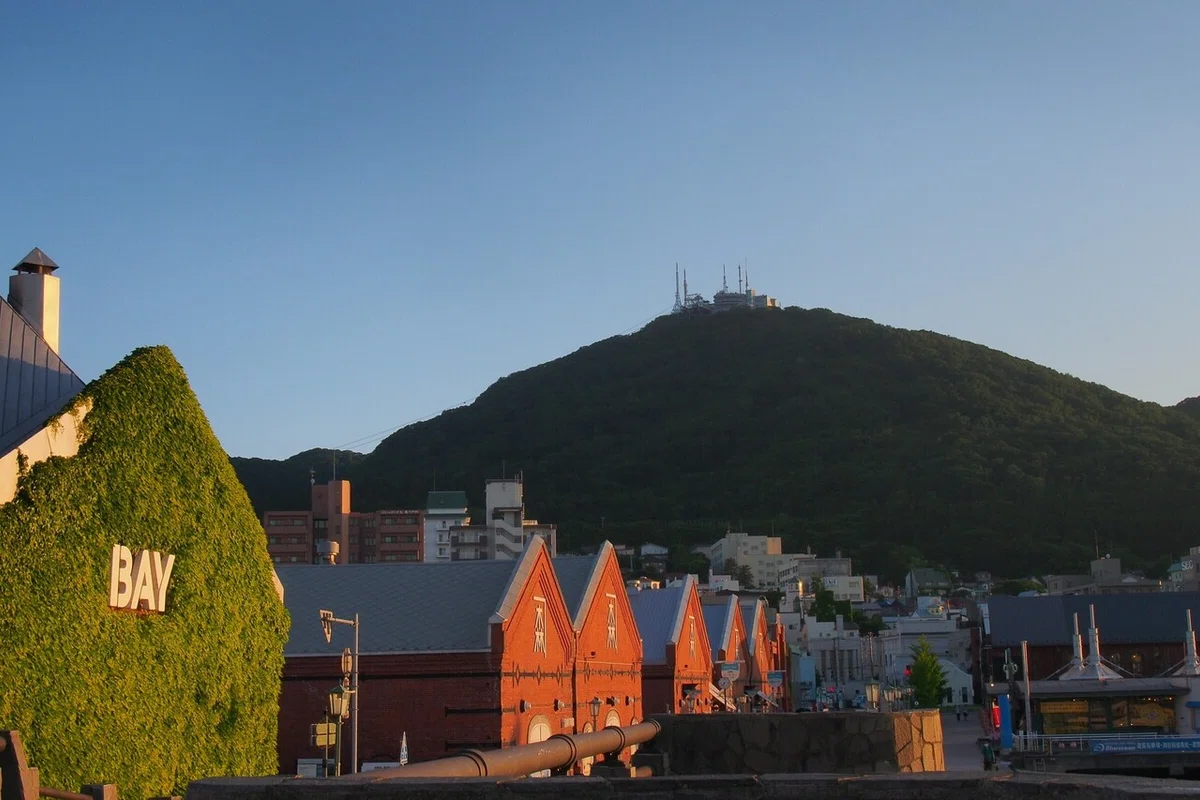 画像7