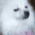 ビジョー