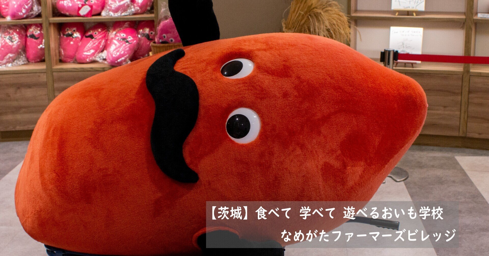 見事な創造力 241【茨城】食べて 学べて 遊べるおいも学校 なめがた ぬいぐるみ