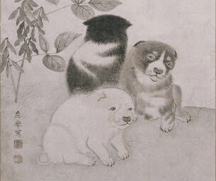 芦雪や応挙の作品など 日本画に描かれている犬は大体白か黒白でコロコロしていますよね とってもかわいいですが 正直この犬 種が何なのか調べてもよくわかりません 柴犬の子犬にもポメラニアンにも見えます 笑 藤本絵里菜 Note