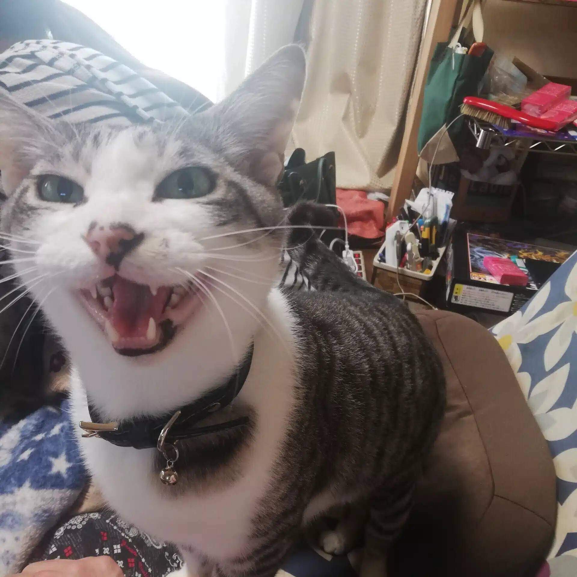 スコーピオン