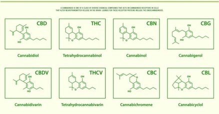 ナナ様せんよう   長年人気の改良型# CRDP cbn cbd cbg CRD CHILLAXY CBD | CRDPとは何か？
