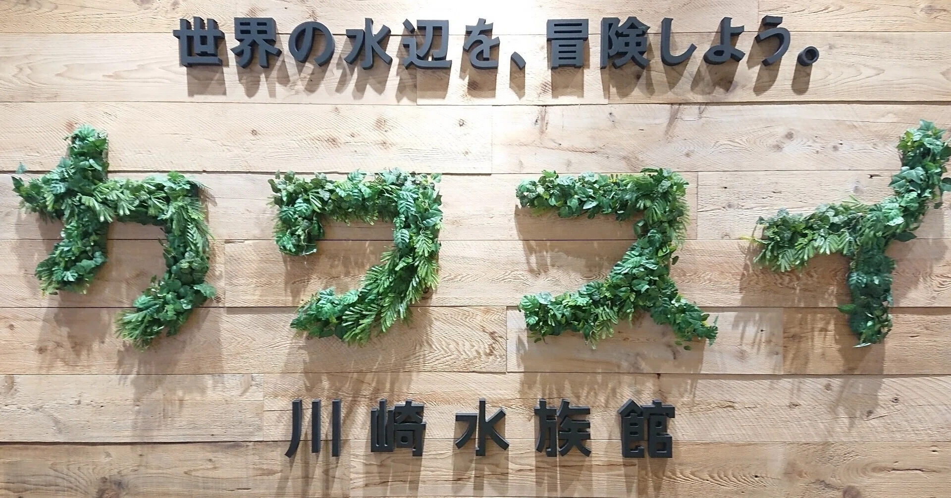 カワスイ（川崎水族館）に行ってきたけど、目的は初めての「猫カフェ
