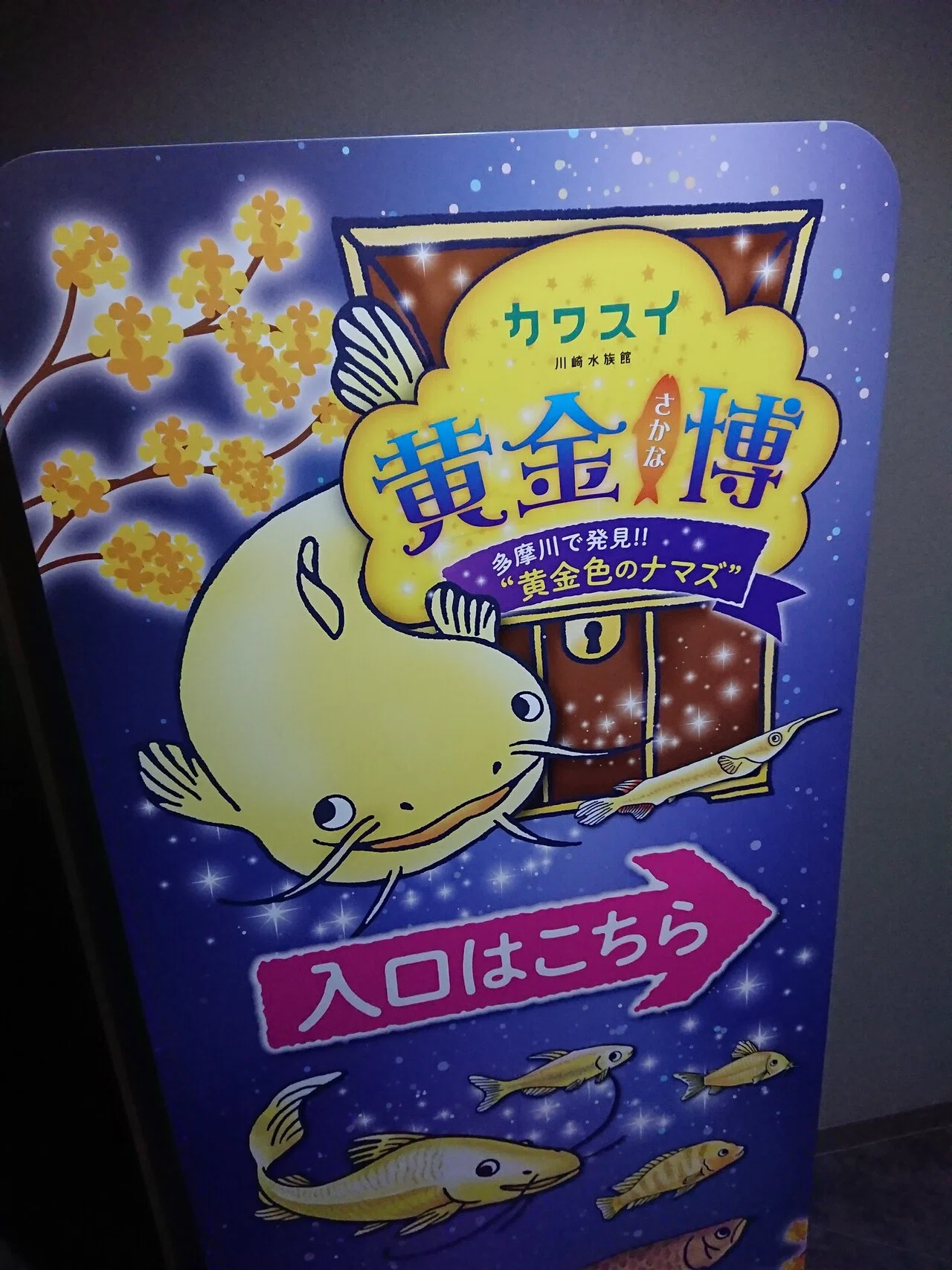 カワスイ（川崎水族館）に行ってきたけど、目的は初めての「猫カフェ