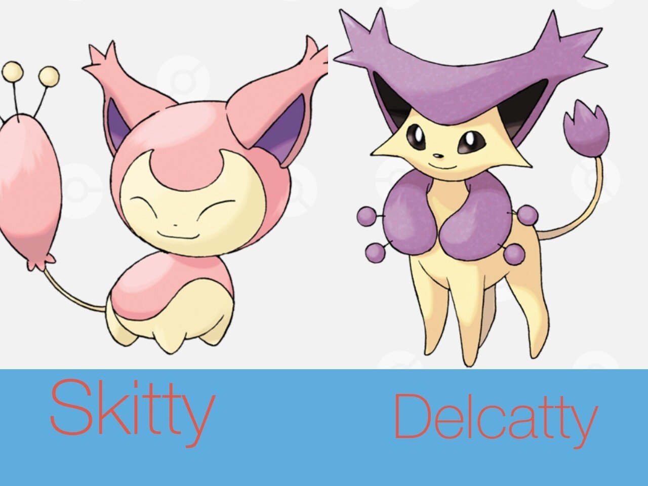 ポケモンの英語名全部覚える日記 第3世代中編 リユルン Note ポケモンの英語名全部覚える日記 第3世代中編 リユルン Note