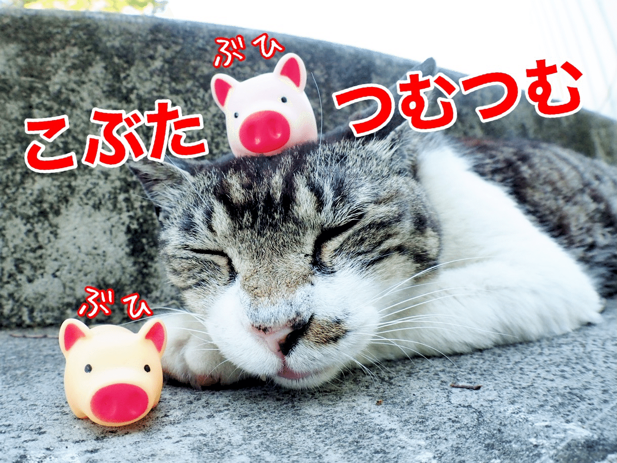 画像をダウンロード つむ ねこ つむ ネコ 画像をダウンロード つむ ねこ つむ ネコ