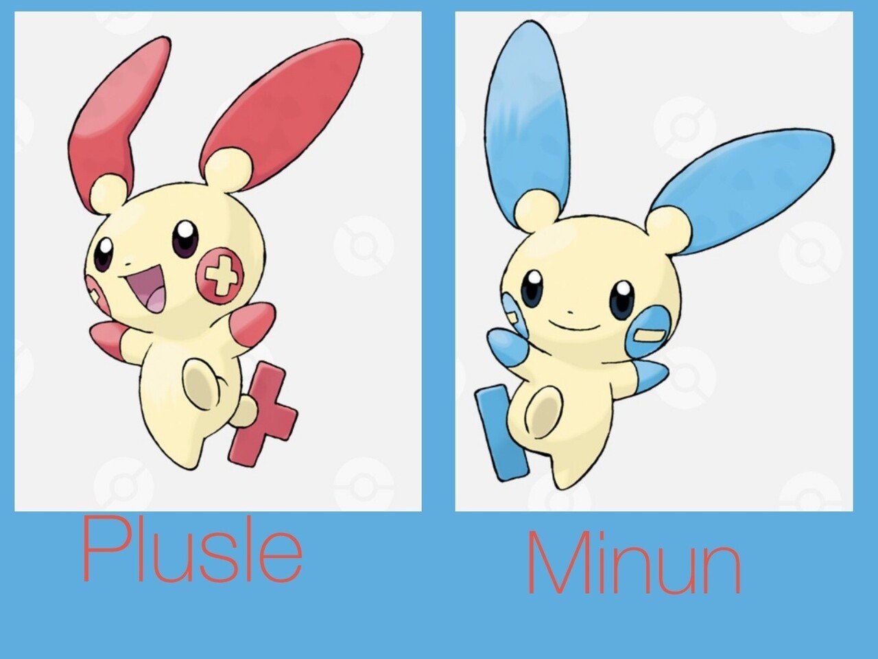 ポケモンの英語名全部覚える日記 第3世代中編 リユルン Note
