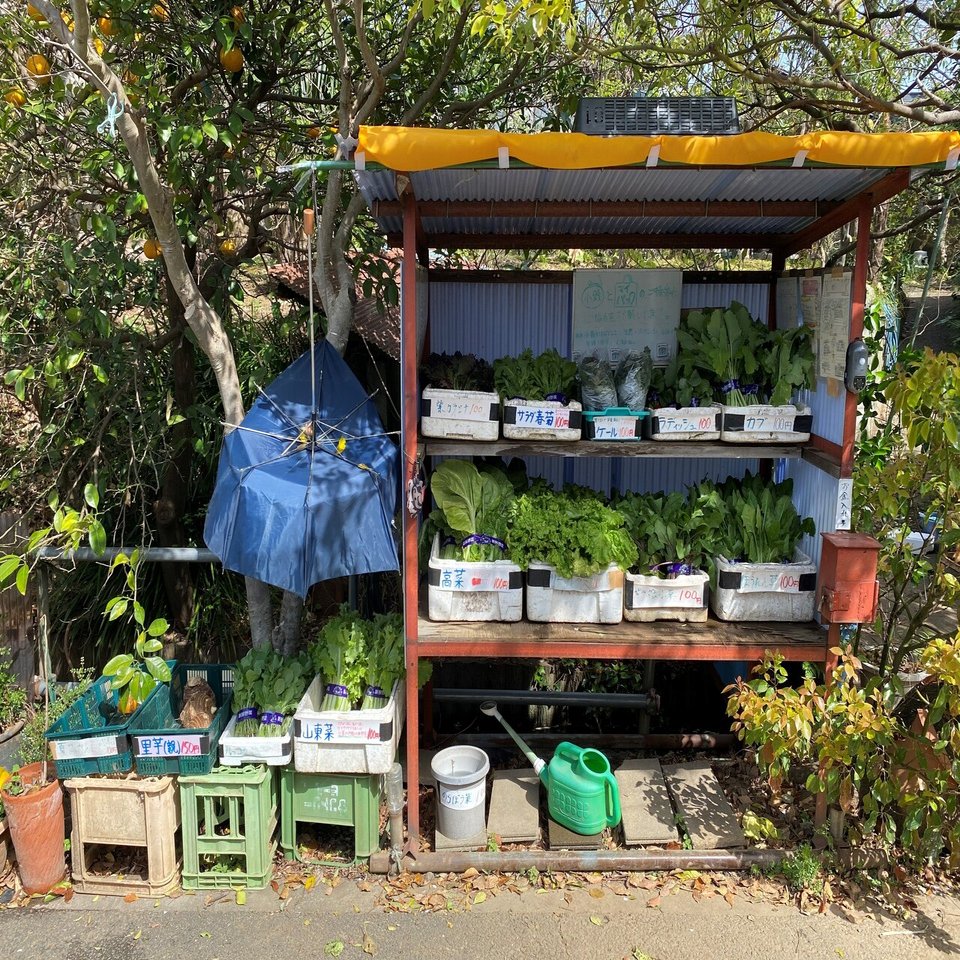 二子玉川の野菜 を楽しむ 生産者と生活者の大事な関係 Common公式 Note