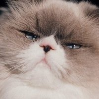 小山田壮平の彼女の歌 マツザキ Note