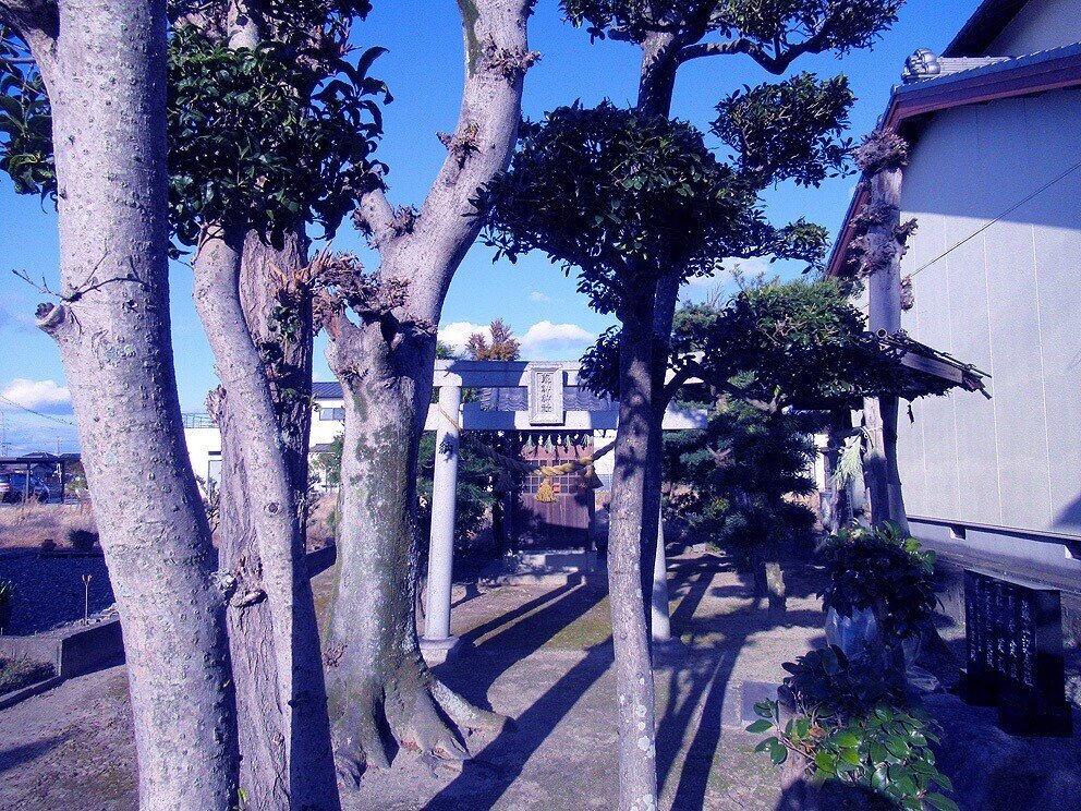 2西本郷町　荒神神社表参道