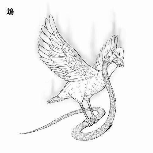 第1651回 架空の鳥 ⑵｜翆野 大地