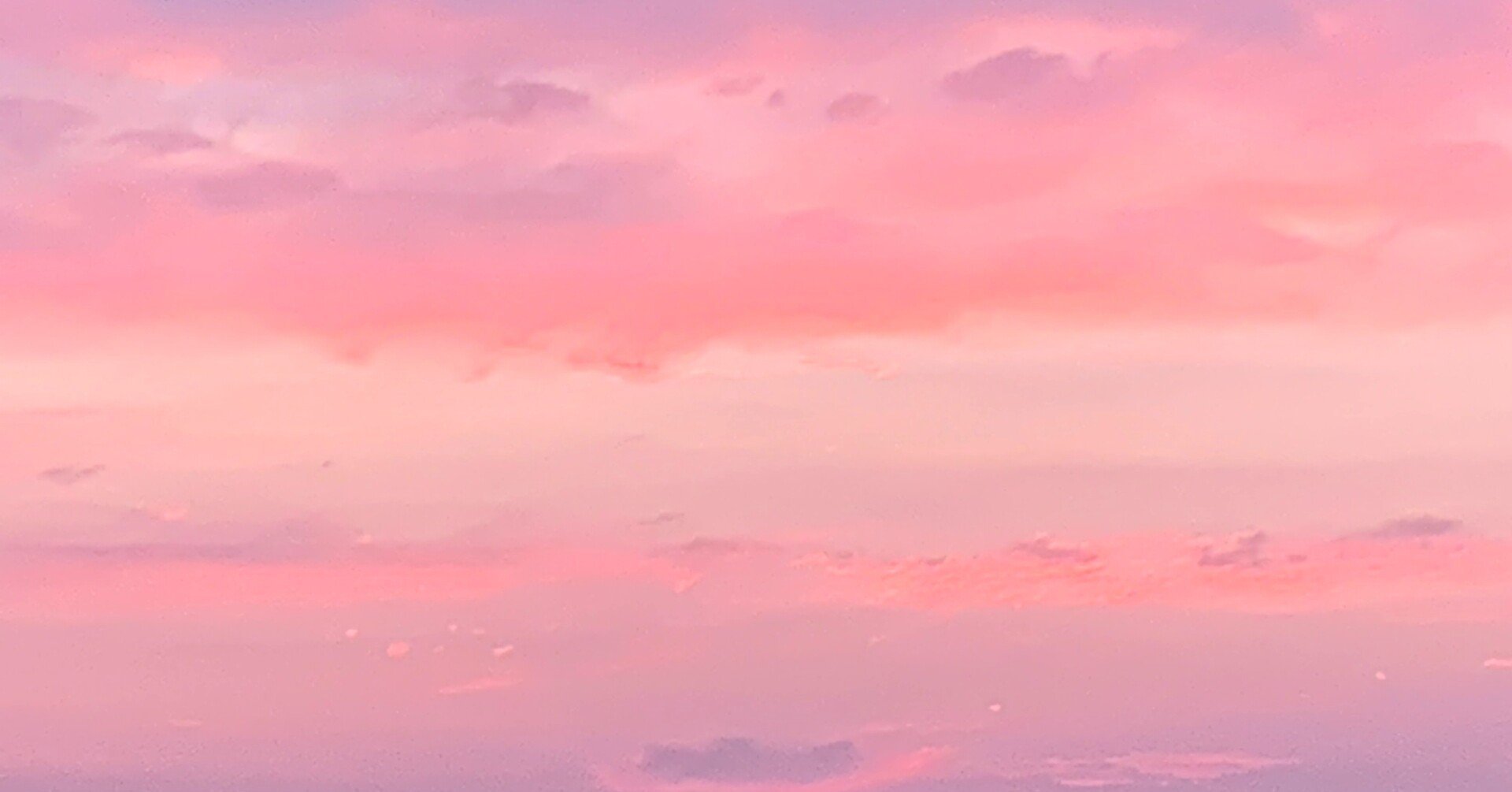 桃色の雲ページ 夏グルメ2025】『フルーツファームカトウ PEACHMAN CAFE』で贈答用「吟