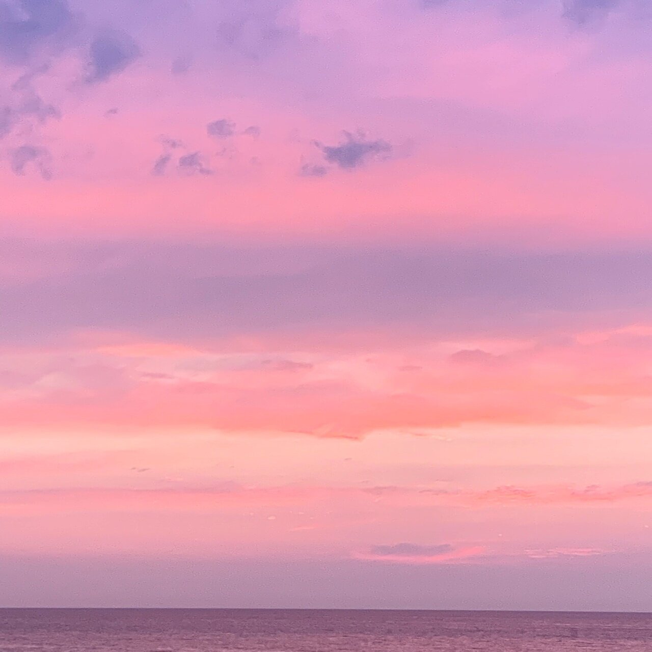 桃色の海 Yasu Note