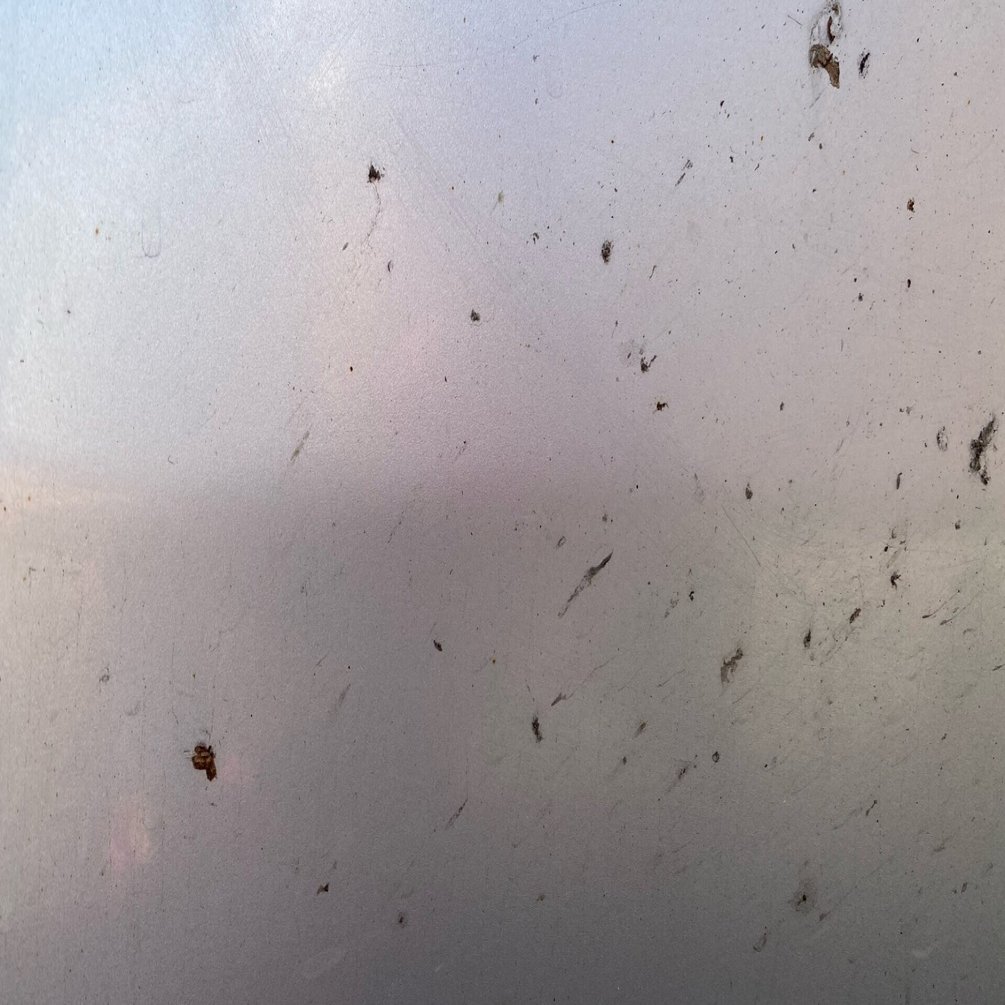 車に付いた虫対策 取り方を徹底解説 フリーライター Note