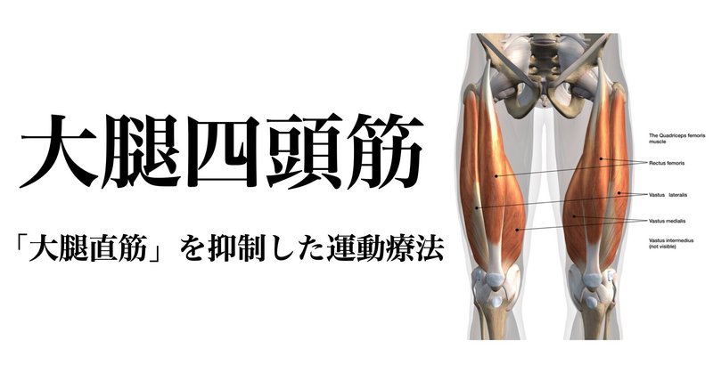 大腿四頭筋の運動療法 大腿直筋 を抑制した状態で 選択的に運動療法を行う方法 薬師寺 偲 Shinobu Yakushiji Note 大腿四頭筋の運動療法 大腿直筋 を抑制した状態で 選択的に運動療法を行う方法 薬師寺 偲 Shinobu Yakushiji Note