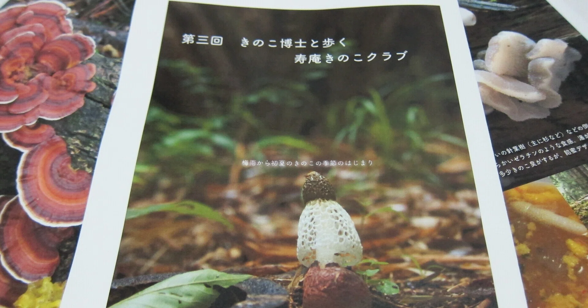 報告 きのこ博士と歩く 寿庵きのこクラブ 第3回 大山ゲストハウス寿庵 Note 報告 きのこ博士と歩く 寿庵きのこクラブ 第3回 大山ゲストハウス寿庵 Note