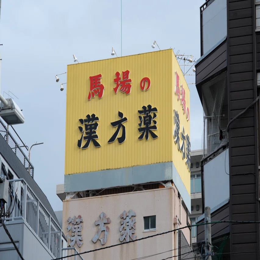 Carl Zeiss Sonnar T* 90mm F2.8 (G) を整備して，スナップ写真を撮っ 