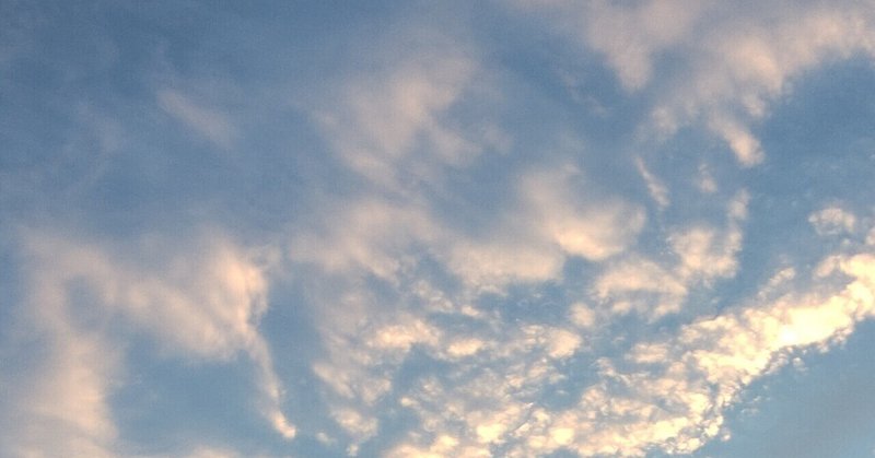 おまわりさんの日 の新着タグ記事一覧 Note つくる つながる とどける