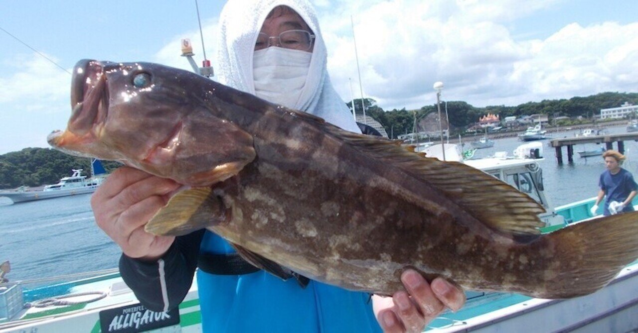 3 4kgのクエが登場 あまさけや丸 Note 3 4kgのクエが登場 あまさけや丸 Note