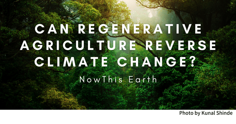 Regenerative Agriculture 環境再生型農業 とは Monkey Gardener 世界の農家と農法 Note