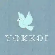 よっこい yokkoi41