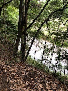 芥川山城への道３