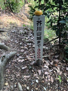 芥川山城への道