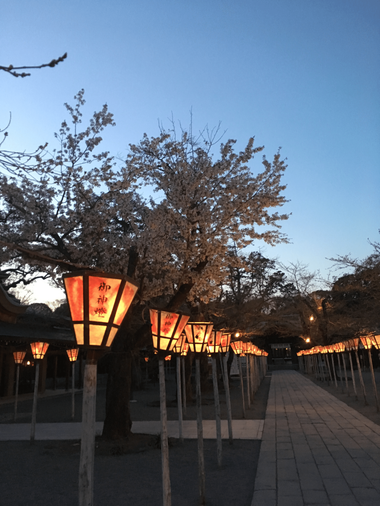 昔住んでた静岡の好きなスポット 情緒ある場所を歩くとそこだけ空気が違うような感覚があって好きです 齋藤成美 Note 昔住んでた静岡の好きなスポット 情緒ある場所を歩くとそこだけ空気が違うような感覚があって好きです 齋藤成美 Note