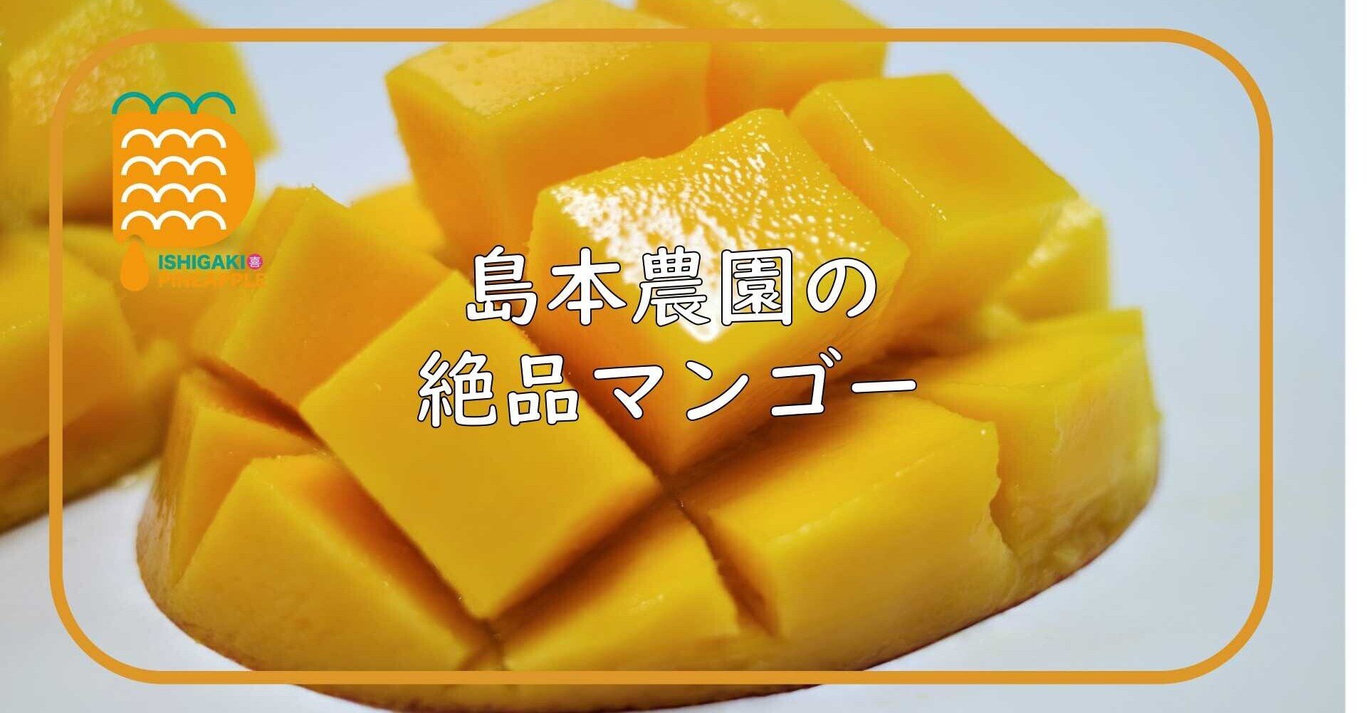ご案内】島本農園さんの絶品マンゴー｜石垣島のやおやさん