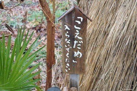 骨折で思い出した 肥溜め と 自分らしい生き方 By Kr おやじは銀行員 Fm公式 Note 骨折で思い出した 肥溜め と 自分らしい生き方 By Kr おやじは銀行員 Fm公式 Note