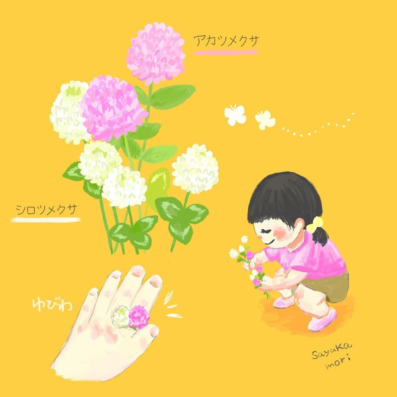 シロツメクサとアカツメクサ 森さやか Illustrator Note シロツメクサとアカツメクサ 森さやか Illustrator Note