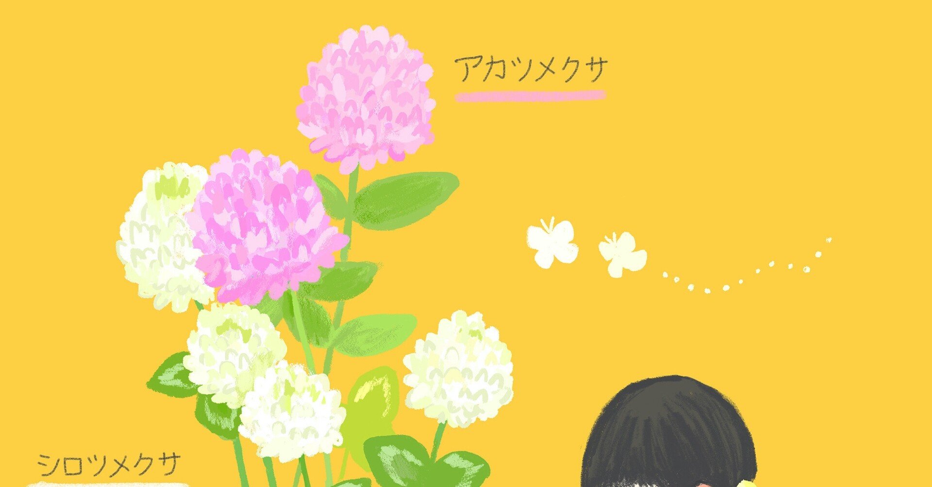 シロツメクサとアカツメクサ 森さやか Illustrator Note