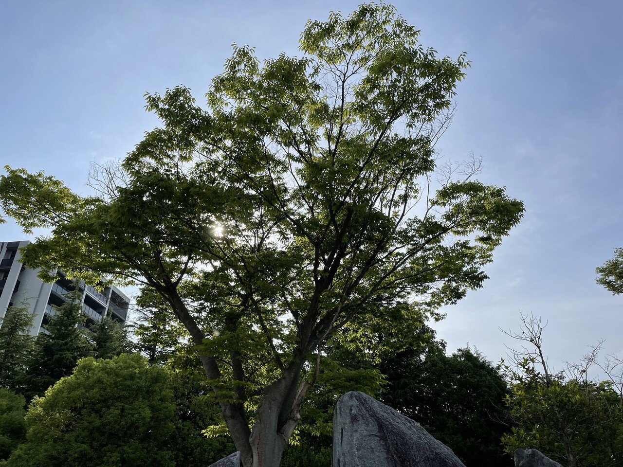 ラジオ体操 今朝は少し早めに目覚めて ナガオカケンメイさんの本を読んで 散歩に出る 途中の公園でラジオ体操をして 帰宅 日曜日なので 時間の流れがとてもゆったりな気がする こうして日々の記録をつけてお 小川 大介 Aizulover Note