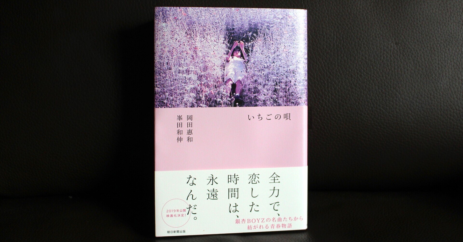 銀杏BOYZ 書き下ろし主題歌「いちごの唄」劇場限定で発売決定