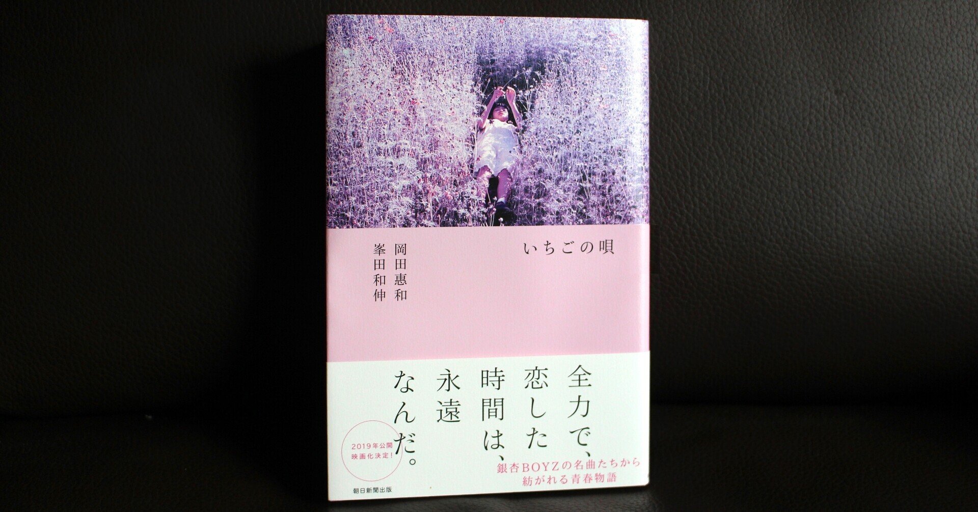 銀杏boyzと いちごの唄 によせて 金光 香織 Note