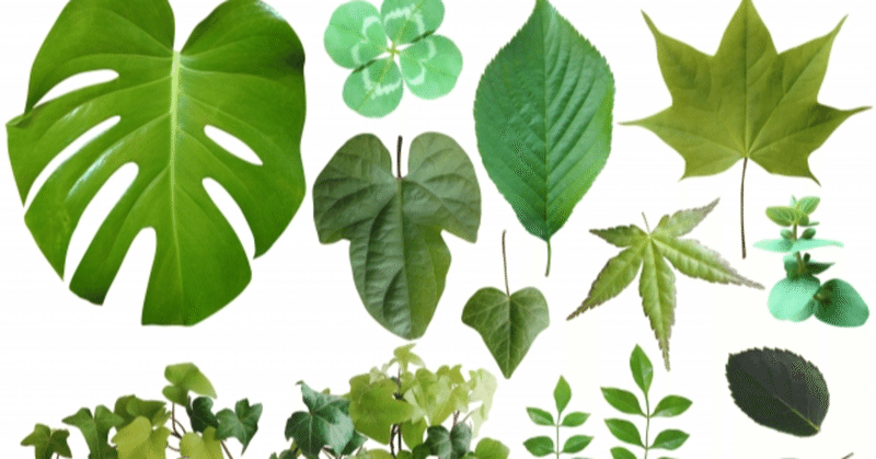植物はなぜ緑色なの 涙が止まらないその理由は 宇宙の法則なんだよね 青春エイリアンズ商店39番地 開店準備中 Note